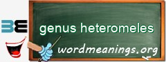 WordMeaning blackboard for genus heteromeles